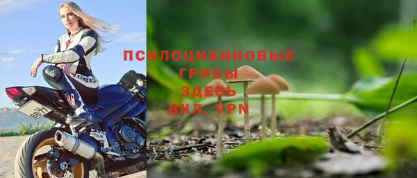 ПСИЛОЦИБИНОВЫЕ ГРИБЫ Алексин