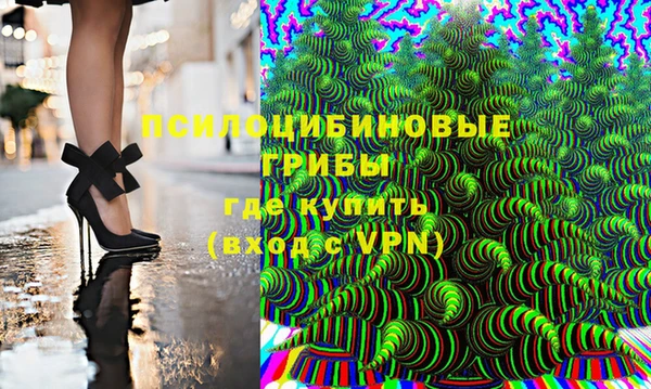 ПСИЛОЦИБИНОВЫЕ ГРИБЫ Алексин