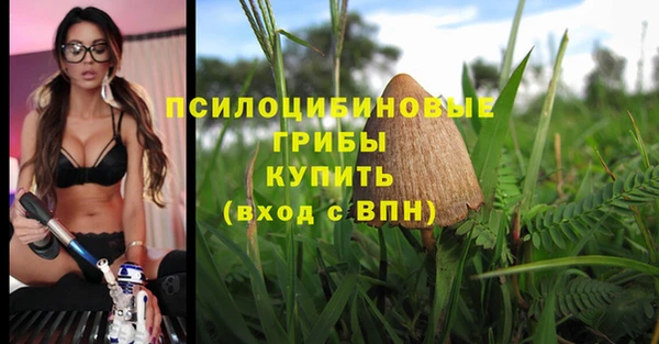 наркотики Алексеевка