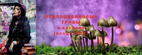 ПСИЛОЦИБИНОВЫЕ ГРИБЫ Алексин