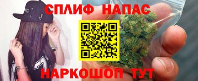 прущие грибы Жуковский