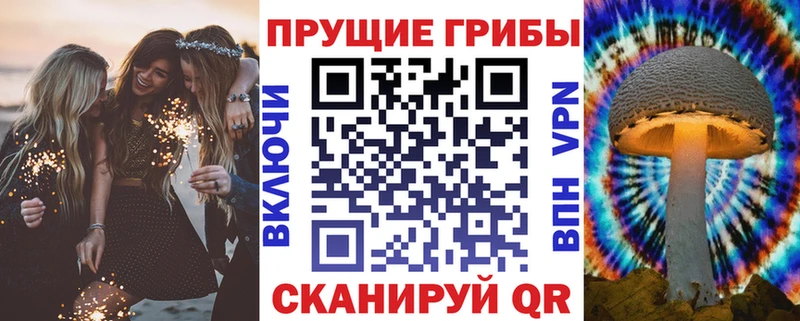 купить закладку  Самара  Псилоцибиновые грибы Cubensis 