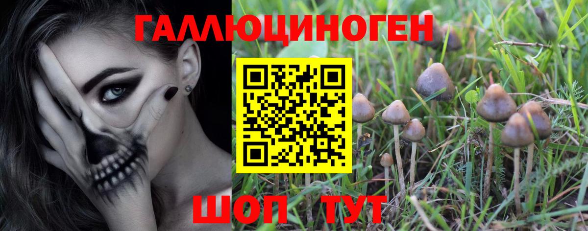 Псилоцибиновые грибы GOLDEN TEACHER  Вход с VPN  Самара 
